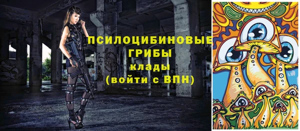 синтетический гашиш Богородск