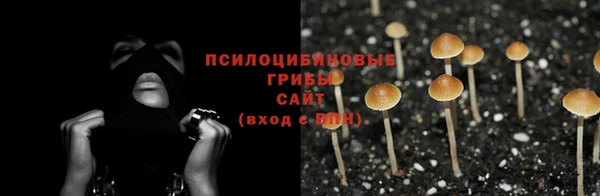 синтетический гашиш Богородск
