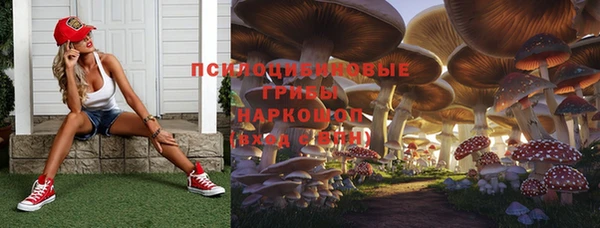 спайс Беломорск