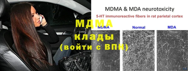 спайс Богданович