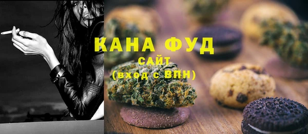 индика Орск