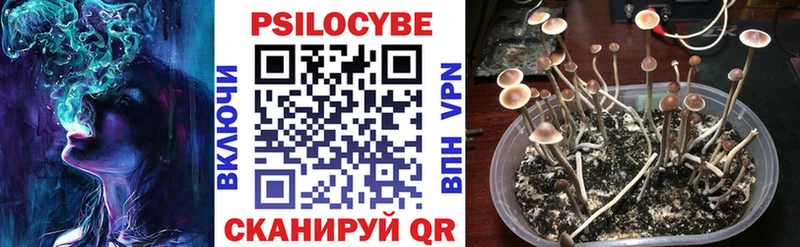 Псилоцибиновые грибы Cubensis shop формула Гулькевичи как найти