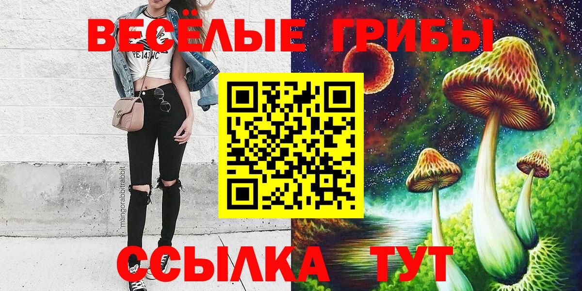 Псилоцибиновые грибы Psilocybine cubensis Гулькевичи